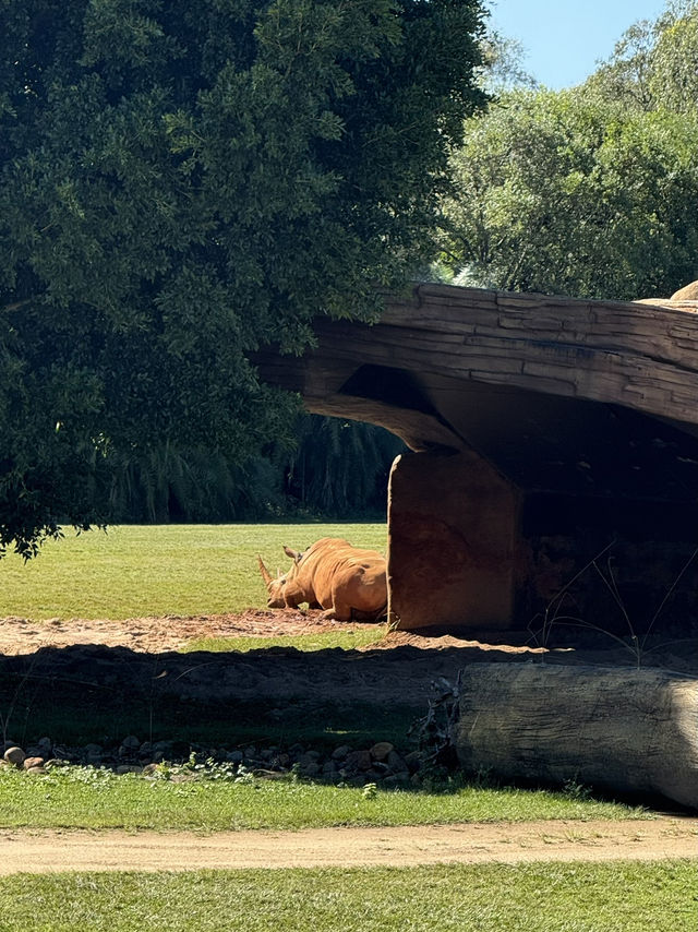 Australia Zoo is just a popular choice