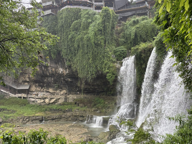 PLEASE!! Go to furong and fengghuang!