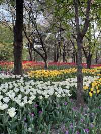 Seoul forest 서울숲 