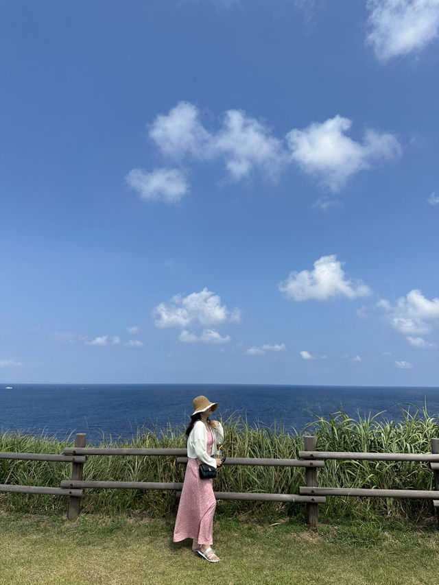 🌴 소소하지만 찬란한 마라도, 오늘의 힐링