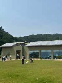  🌲☀️아산 샤스타데이지 카페 카페지새울