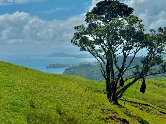 Coromandel Peninsula