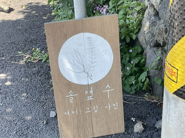 제주 여행 / 서귀포 여행 에서 만난 진짜 제주가 느껴지는 카페 솔옆수
