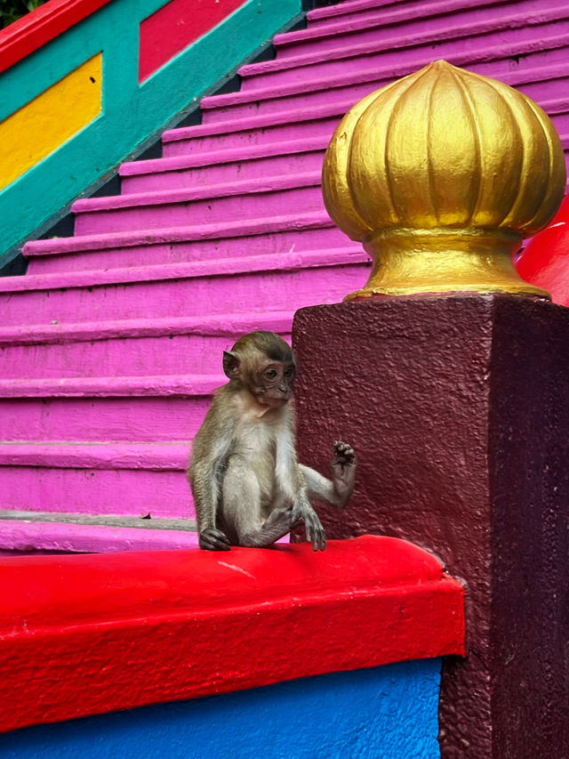 “Where Nature Meets Devotion – Batu Caves”