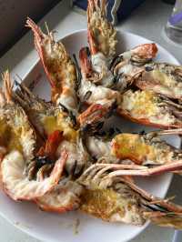 Exploring the Tapi River, Surat Thani