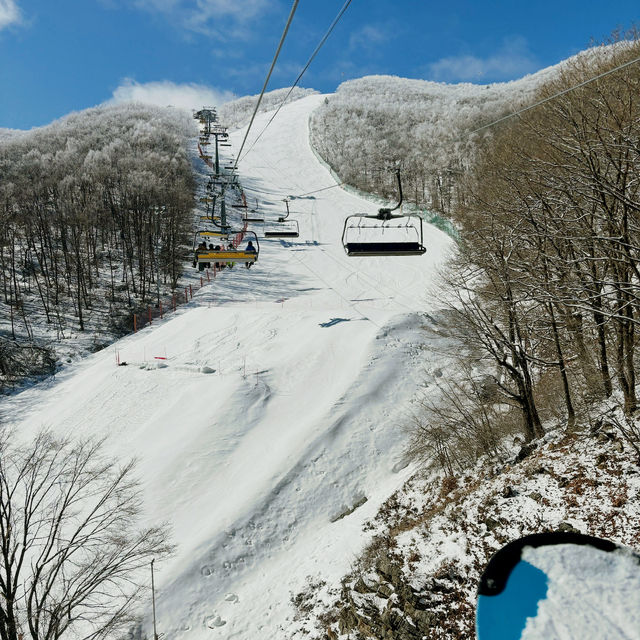  High One滑雪場簡評：江原道的冬日仙境❄️
