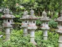 วัดคัตสึโอจิ Katsuoji Temple โอซาก้า ญี่ปุ่น
