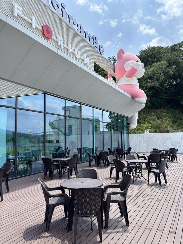 남원에서 즐기는 대형 감성카페 여행🥳