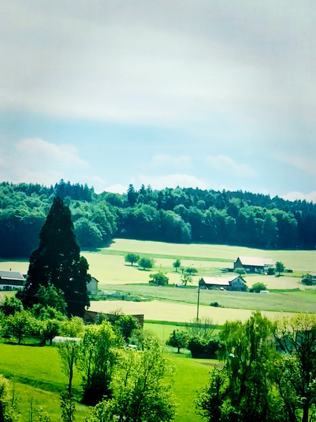 Swiss Summer by Train: From Zurich to Geneva 🚄🇨🇭☀️