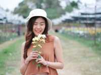 เที่ยวสวนบิ๊กเต้