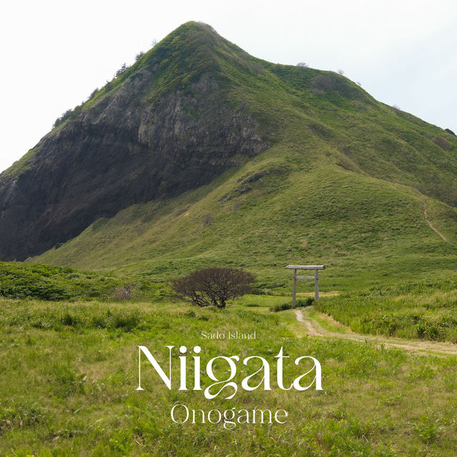 Onogame จุดชมวิวริมทะเล บน เกาะซาโดะ ⛰️🌼🇯🇵