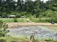 A misty silence: retreating into the woods of Sungai Lembing
