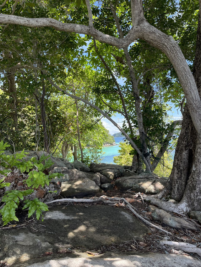 🇹🇭🌊 Koh Tarutao Hopping: How To 🏝️🇹🇭