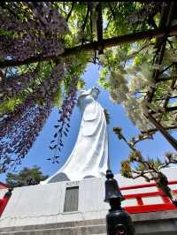 【高崎観音山】巨大観音と自然に癒される、静かな丘の休日