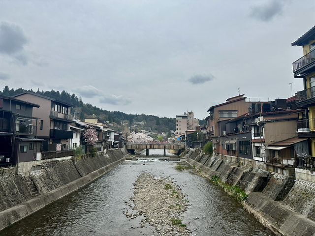 🌸 日本高山賞櫻實用指南🌸