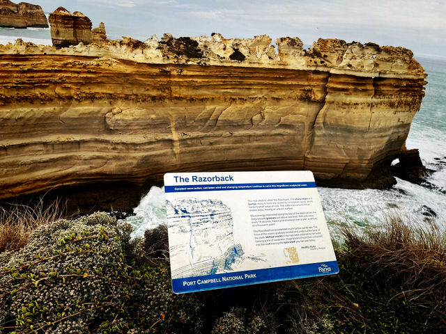 Scenic Summer Escape: Day Trip to Black Rock, Victoria