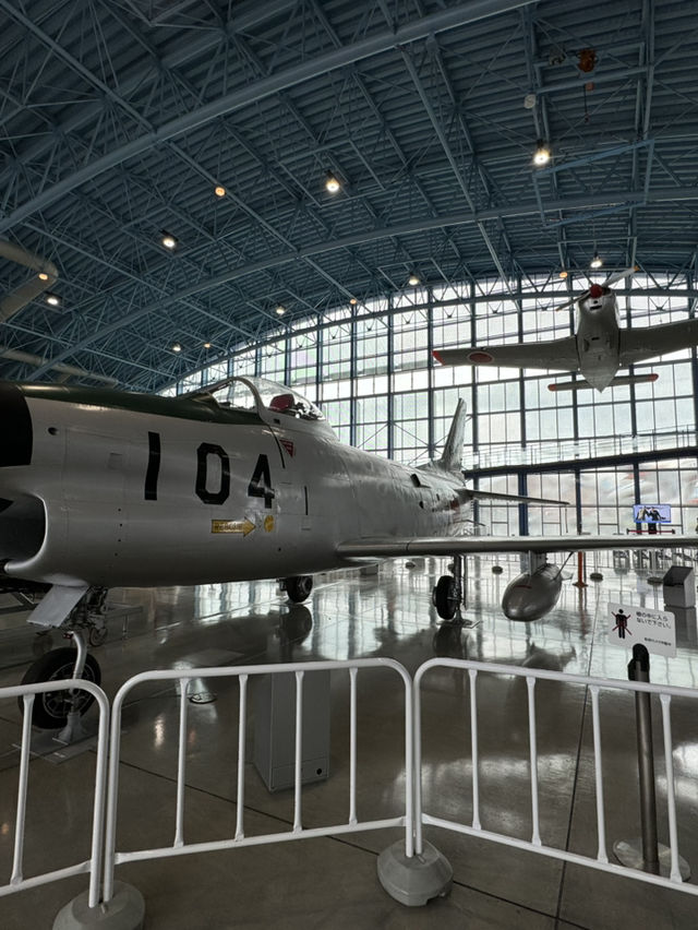 Fly Like a Pilot – for Free! A Hidden Gem in Hamamatsu
