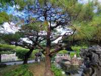 古色古香的庭園~福州園