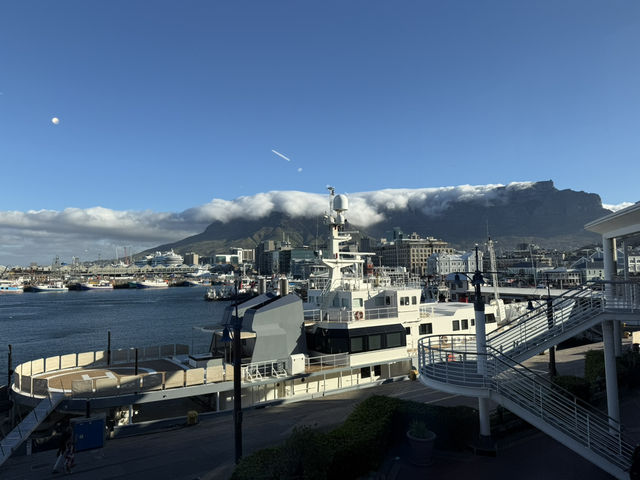 How to spend 7 days in Cape Town