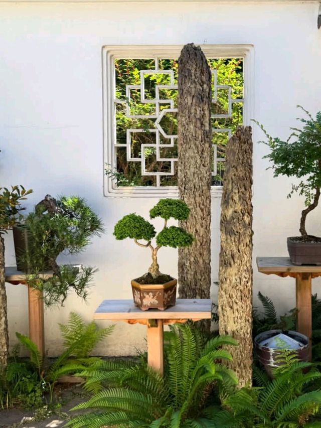 🌸✨ Escape to Chinese Garden – Singapore’s Secret Chill Spot! 🏯🌳