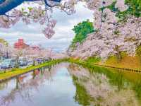 ปราสาทฮิโรซากิ (Hirosaki Castle / 弘前城)