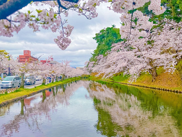 ปราสาทฮิโรซากิ (Hirosaki Castle / 弘前城)