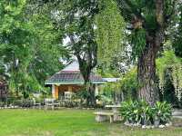 แอบชง” – คาเฟ่บ้านไม้กลางสวน 