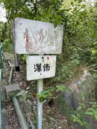 梅窩銀礦瀑布消暑行山路線💦💦