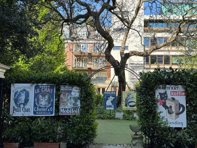 An Unconventional "Cat and Mouse" Tour in Amsterdam! 🐭🐱