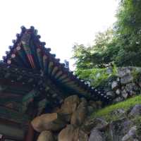 Exciting 6-hours trip to Gyeongju city