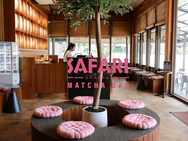 SAFARI Matcha Bar Khaoyai 