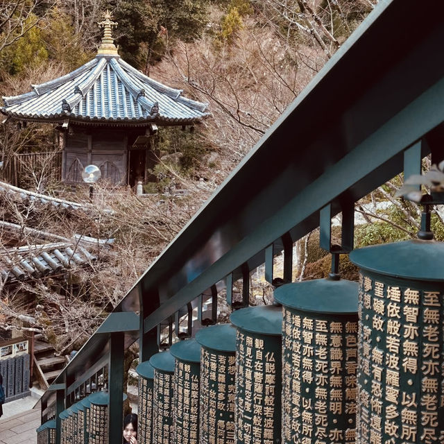 ⛰️ Mount Misen Summer Survival Guide