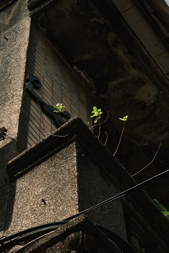 ▋台灣感性｜中山 ZHONGSHAN #都會節奏