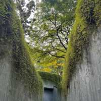Fort Canning Park