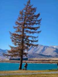 Picnics and Playtime by the Turquoise Treasure: Lake Tekapo Fun!