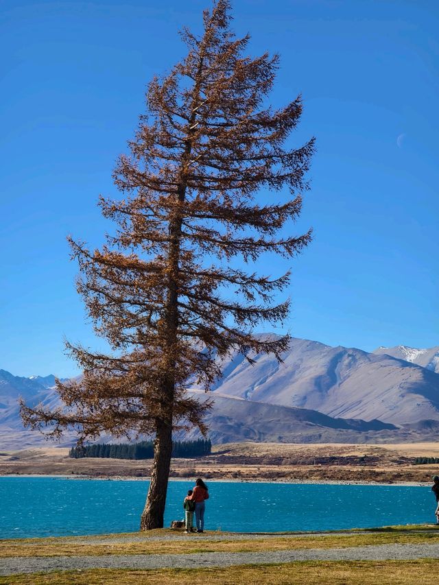 Picnics and Playtime by the Turquoise Treasure: Lake Tekapo Fun!