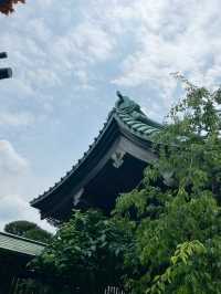 六月限定的長谷寺太夢幻了！