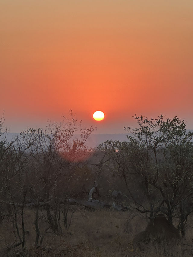 Mjejane bush camp 