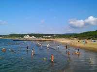 貝殼白沙 × 藍海微風：白沙灣夏日沙灘全攻略