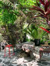 medjora.cafe