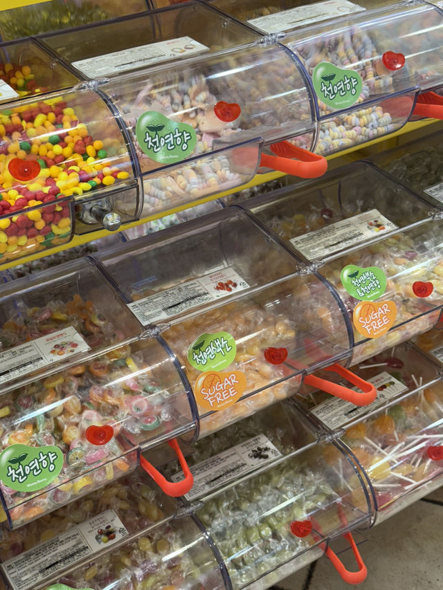 🍬 달콤함 가득한 에버랜드 위니비니의 캔디 천국 🍭