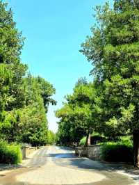 Peaceful Walks at the Temple of Heaven