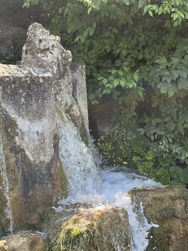 🏞️ Stadtpark Leonberg⛲️