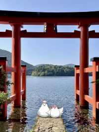 【神奈川】夏に行きたい【元箱根】