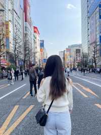 Akihabara สวรรค์ของคนรักของเล่น💖