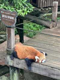 A Perfect Blend of Nature and Wildlife