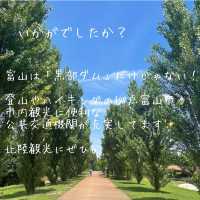 🎨アートの街・富山で大人の感性旅🚋✨