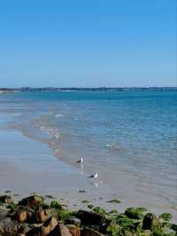 Rye Beach：莫宁顿半岛最适合家庭游玩的浅水海滩