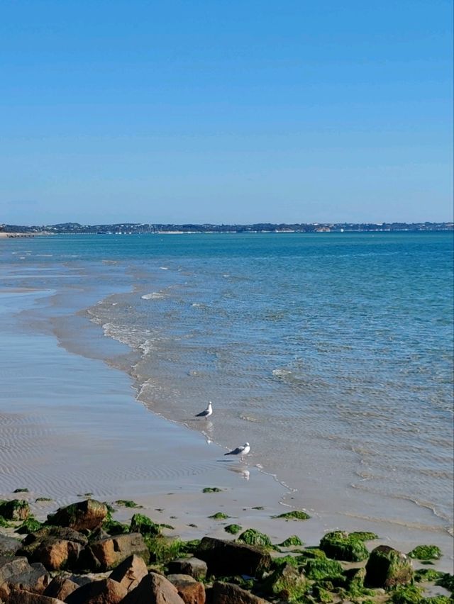 Rye Beach：莫宁顿半岛最适合家庭游玩的浅水海滩