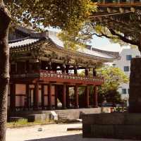 Understanding Jeju's Unique Identity Through Its Governance